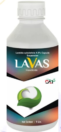 LAVAS