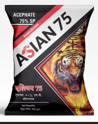 ASIAN 75