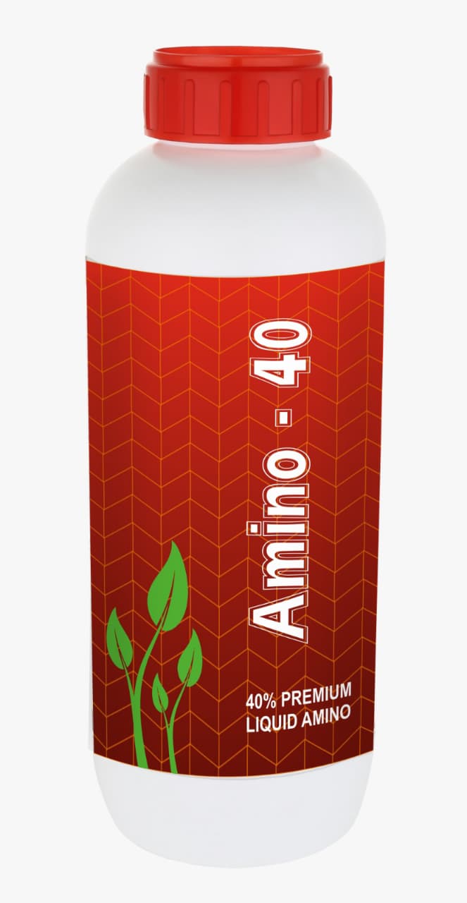 AMINO-40