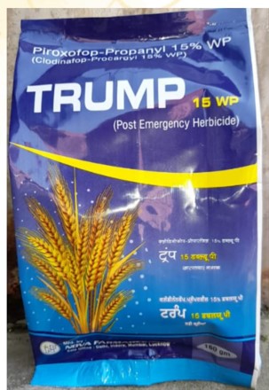 TRUMP (1BAG 25 KG)