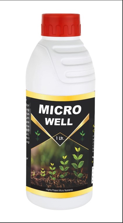 MICRO WELL
