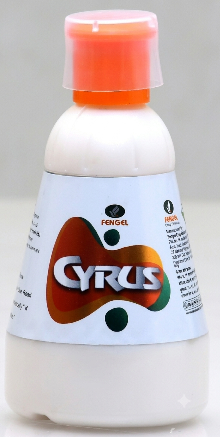 Cyrus